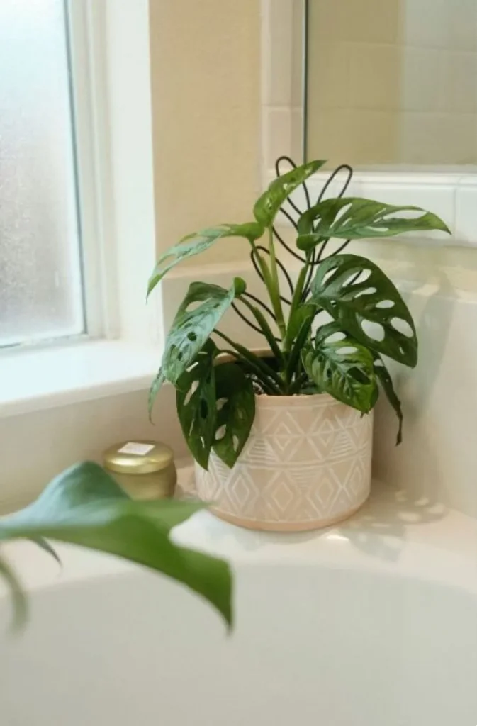 Όμορφα ναι – πρακτικά όχι: Τα αντικείμενα που δείχνουν ωραία αλλά δεν βολεύουν