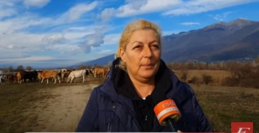 Ελπίδα Σιδηροπούλου: "Plan B τώρα" - Αντιδράσεις κτηνοτρόφων για την διαχείριση της ευλογιάς - video