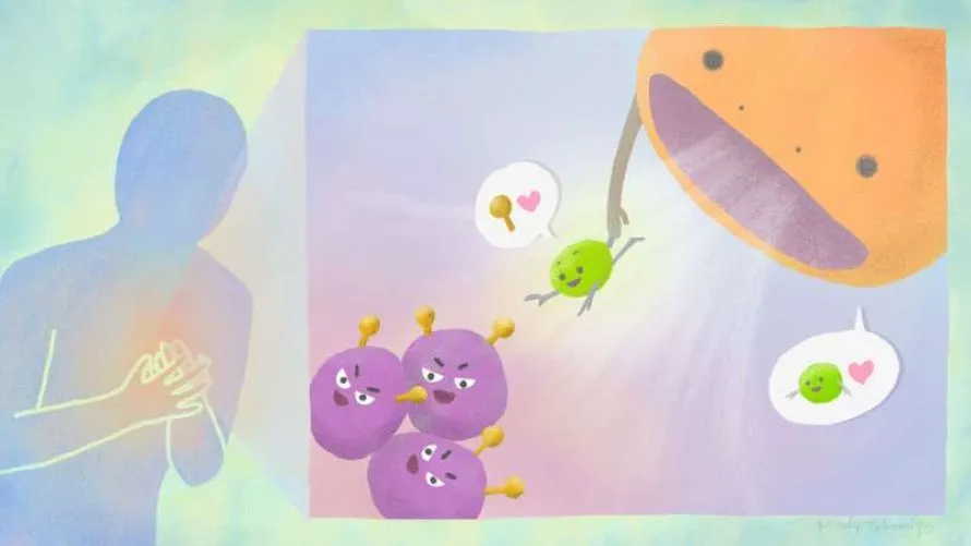 Ερευνητές δημιούργησαν συνθετική πρωτεΐνη που βοηθά το σώμα να απομακρύνει επιβλαβή κύτταρα