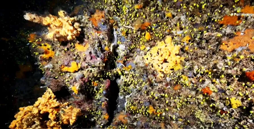 Tα θαλάσσια σπήλαια στο Αιγαίο