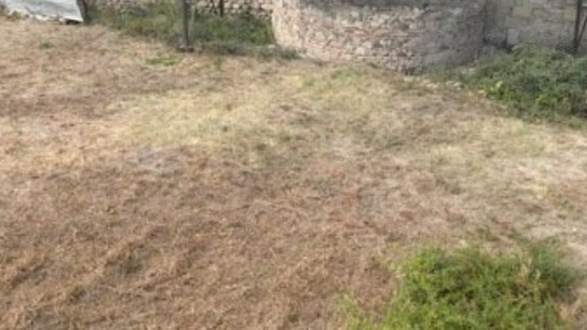 Βοιωτία: Έθαψε τη μητέρα της σε στάβλο δίπλα στο σπίτι για να παίρνει τη σύνταξή της