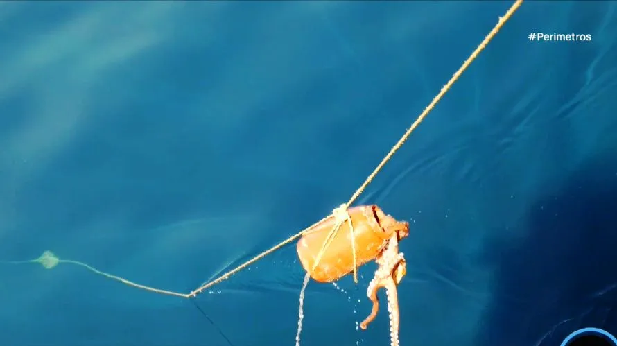 Παράνομες ιχθυοπαγίδες στον Θερμαϊκό κόλπο και στο θρακικό πέλαγος