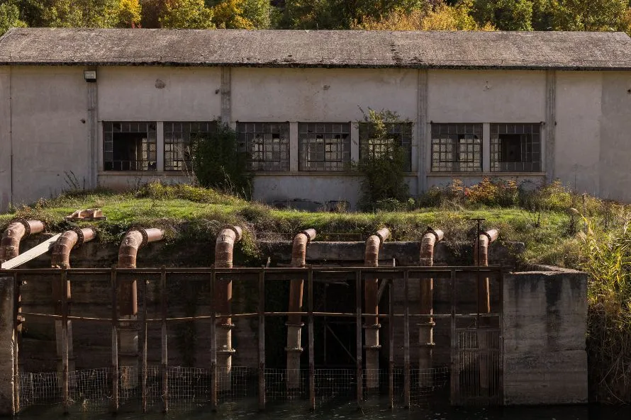 Στάγδην άρδευση ως «όπλο» για τα φασόλια των Πρεσπών απέναντι στην κλιματική αλλαγή