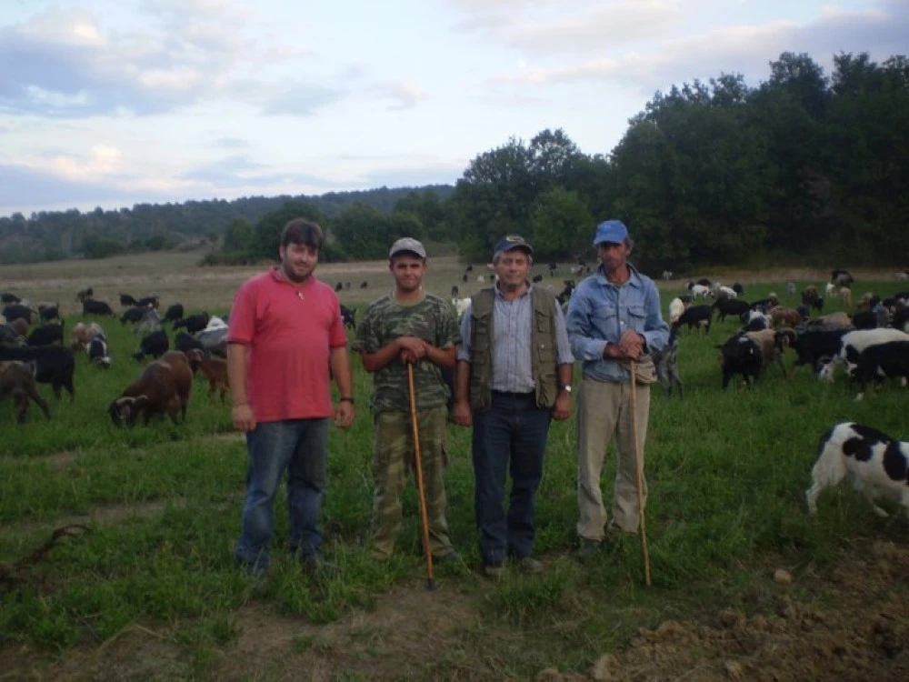 Η ευλογιά «έκλεισε» τις μετακινήσεις των κτηνοτρόφων από τις στράτες για τα χειμαδιά - Η νοσταλγία του Αργύρη