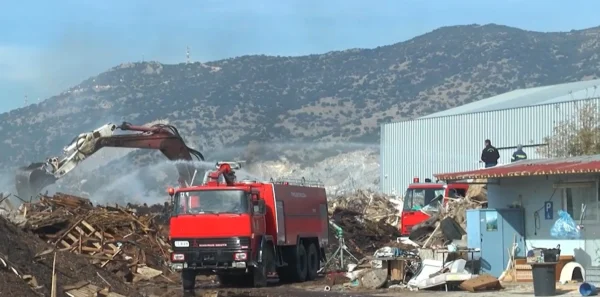 Σέρρες: Φωτιά σε εργοστάσιο πέλλετ έξω από το Νέο Σούλι - video