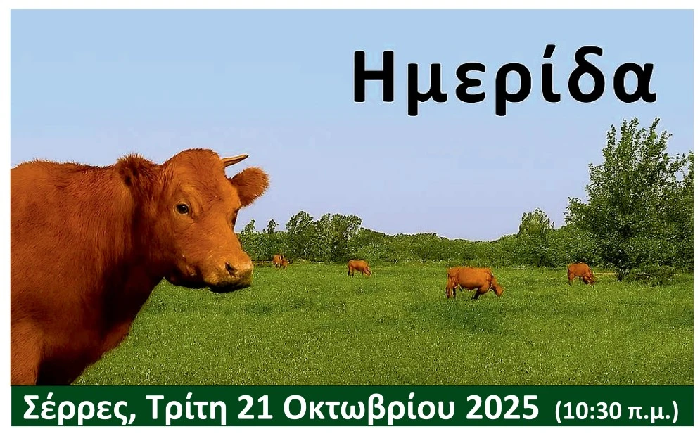 Ημερίδα από τον Πανσερραϊκό κτηνοτροφικό σύλλογο