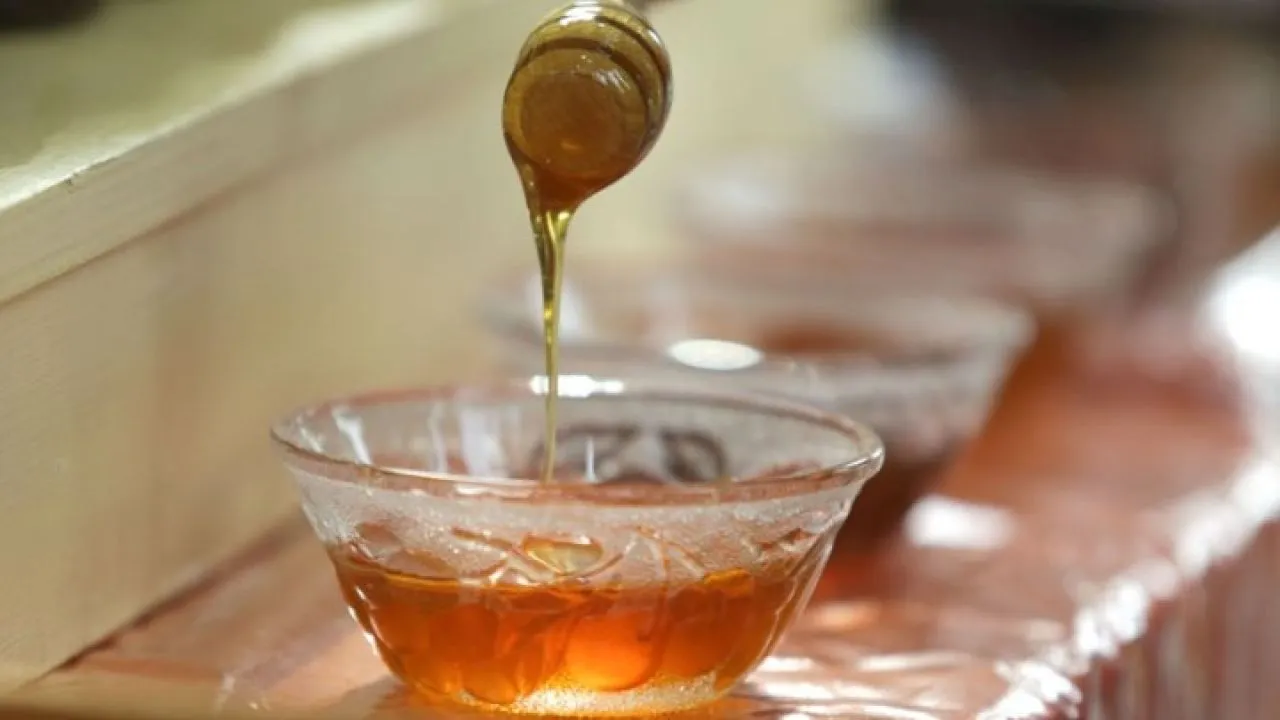Συνέδριο «Tomorrow Tastes Mediterranean 2025»: Η Ελλάδα στο διεθνές επίκεντρο της μεσογειακής διατροφής