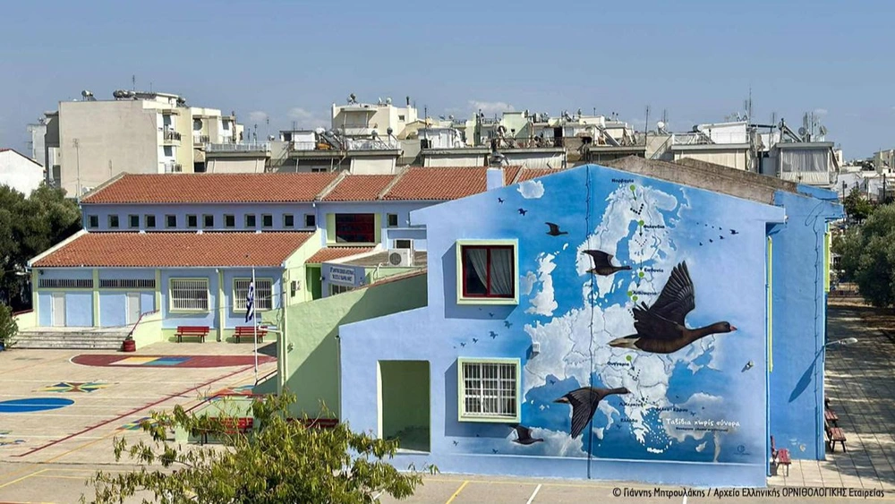 Οι Νανόχηνες «προσγειώθηκαν» στα σχολεία της Αλεξανδρούπολης!