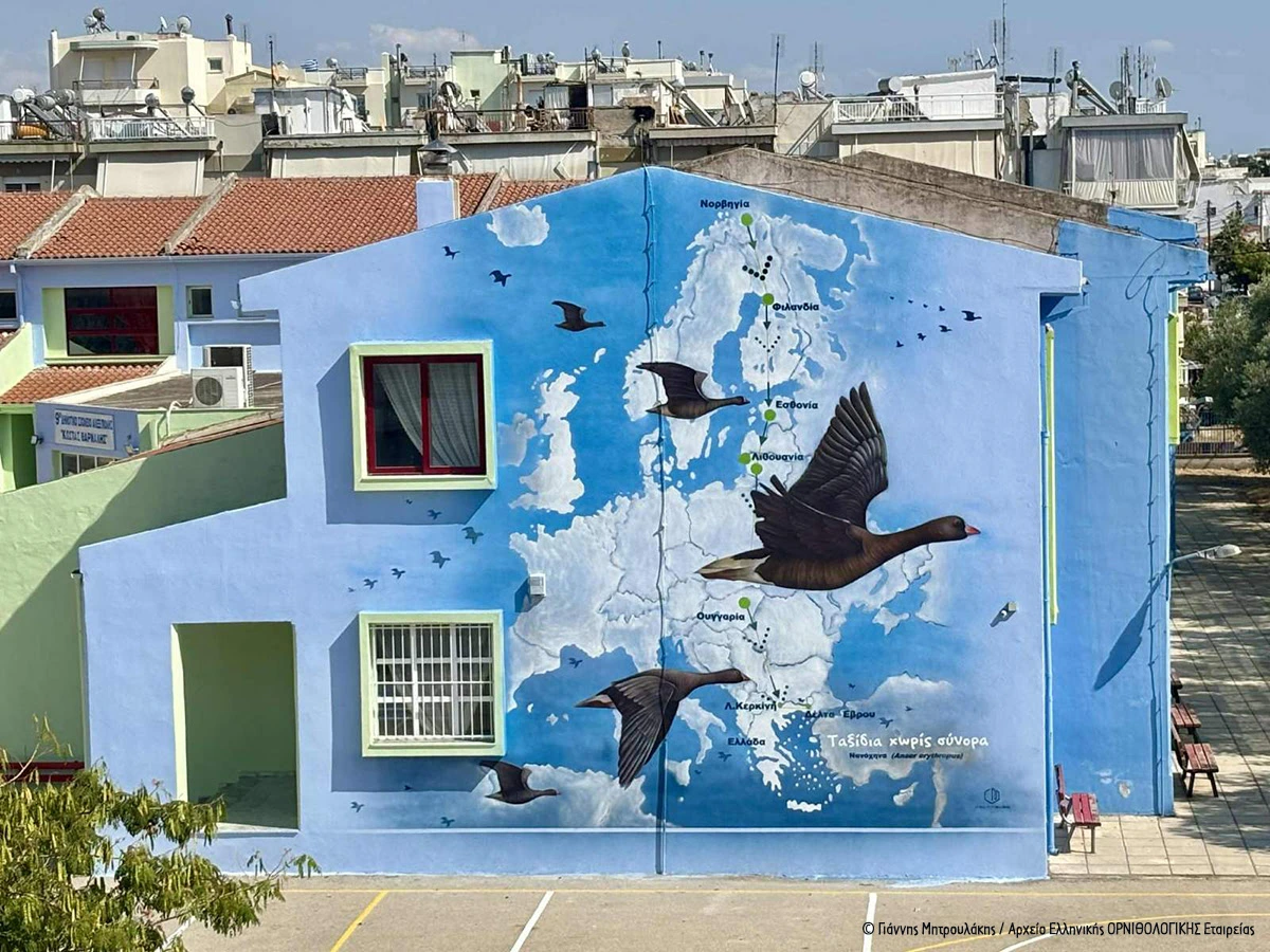 Οι Νανόχηνες «προσγειώθηκαν» στα σχολεία της Αλεξανδρούπολης!