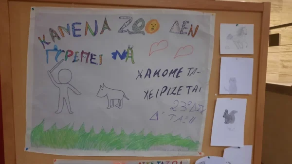 Εκδήλωση του Δήμου Σερρών για την Παγκόσμια Ημέρα Ζώων
