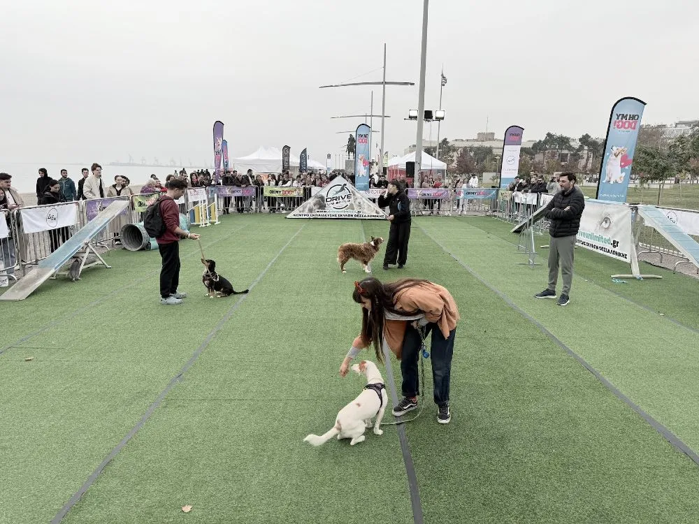 H αξία της φιλοζωίας στο pet festival