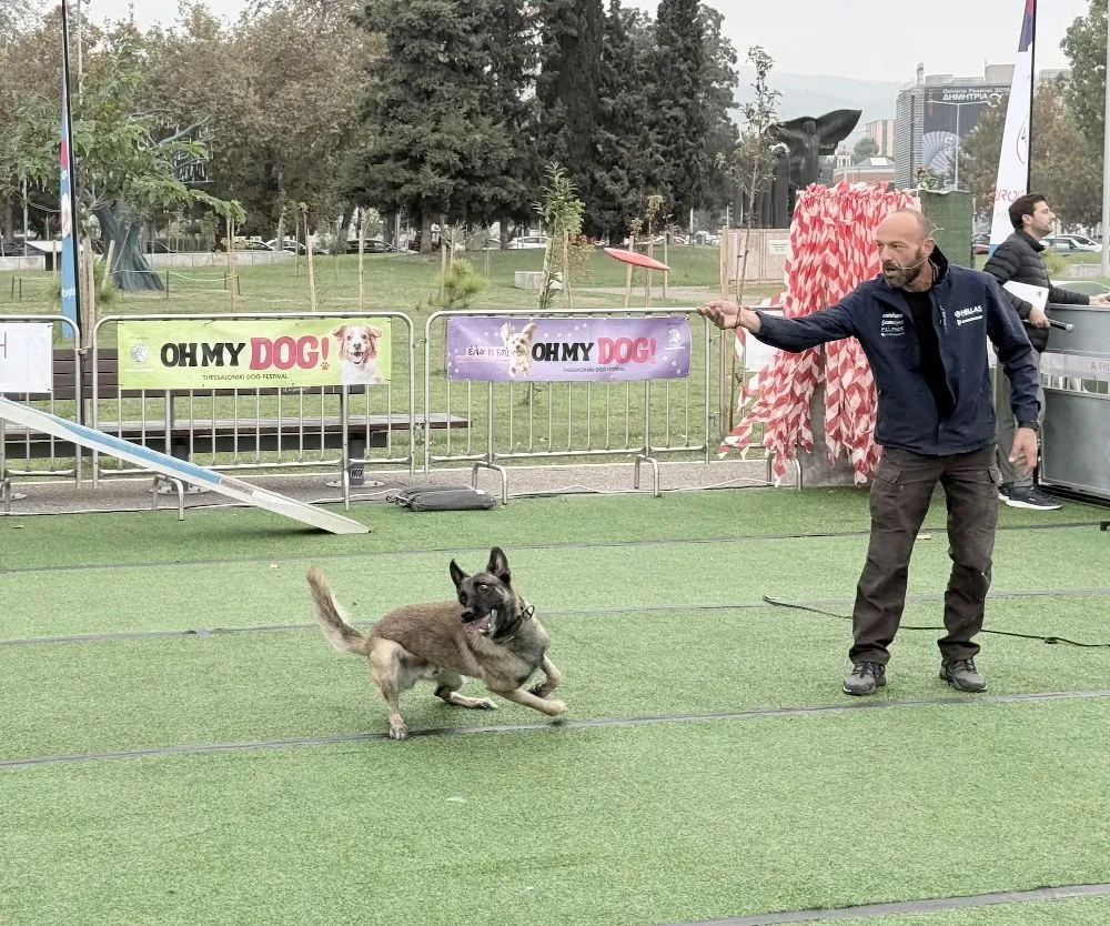 H αξία της φιλοζωίας στο pet festival