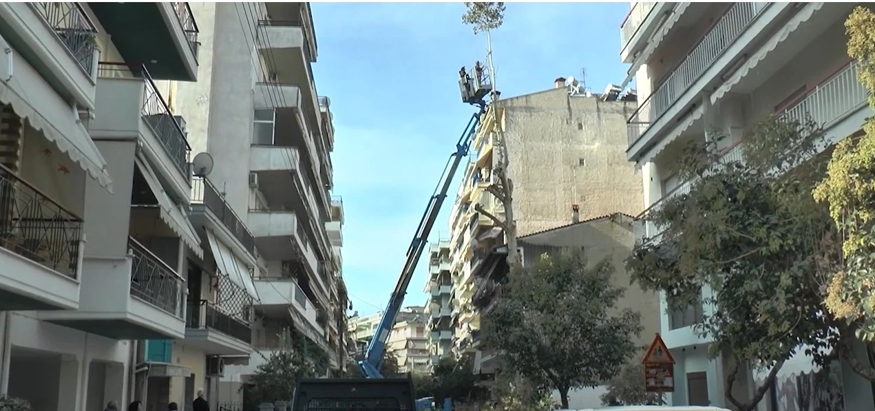 Σέρρες: Κλαδεύτηκε ο πλάτανος της Αρκαδιουπόλεως - video