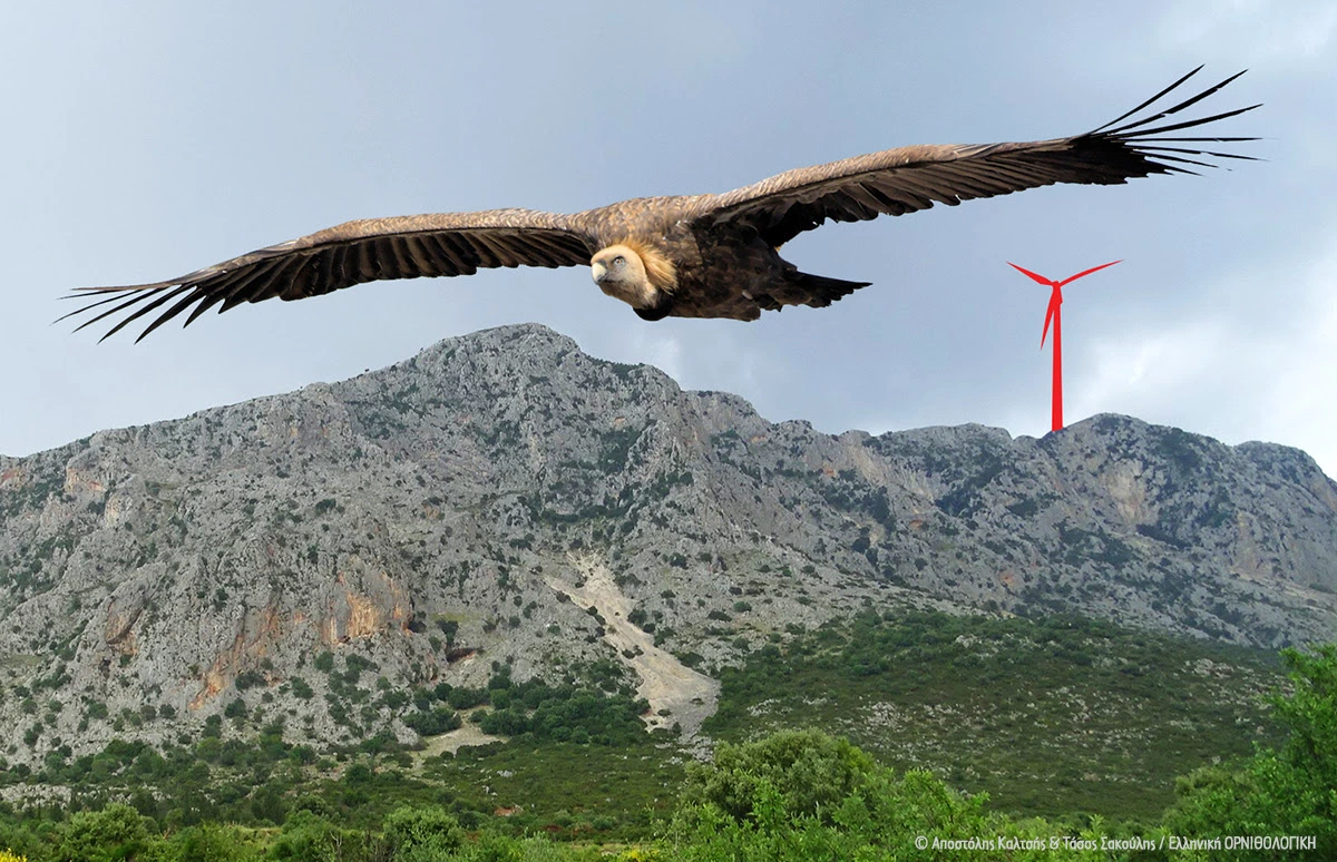 Απόφαση-ορόσημο της ΡΑΑΕΥ για τον θεσμό των Ενεργειακών Κοινοτήτων