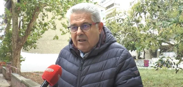 Σέρρες: Ο πλάτανος βαρέθηκε να περιμένει και έπεσε μόνος του - video