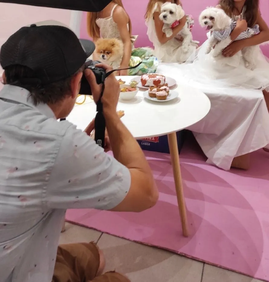 Πάρτι γενεθλίων για σκύλους, με τούρτες και μπουφέ για τους τετράποδους καλεσμένους