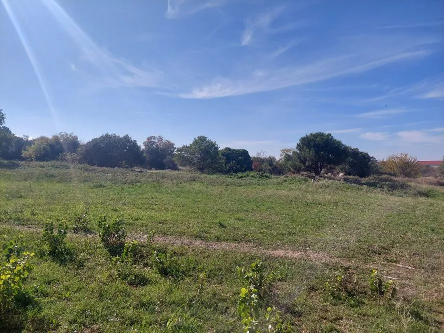 Πρώην στρατόπεδο Κόδρα - Το πράσινο ακρωτήρι του πολεοδομικού συγκροτήματος