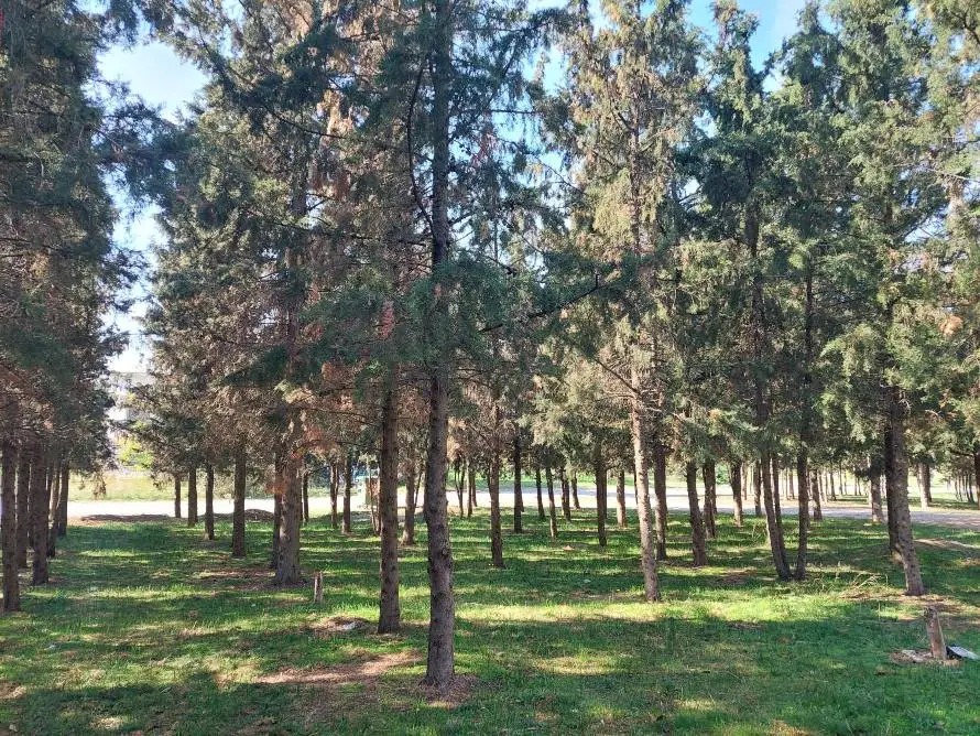 Πρώην στρατόπεδο Κόδρα - Το πράσινο ακρωτήρι του πολεοδομικού συγκροτήματος