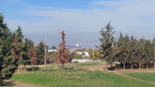 Πρώην στρατόπεδο Κόδρα - Το πράσινο ακρωτήρι του πολεοδομικού συγκροτήματος