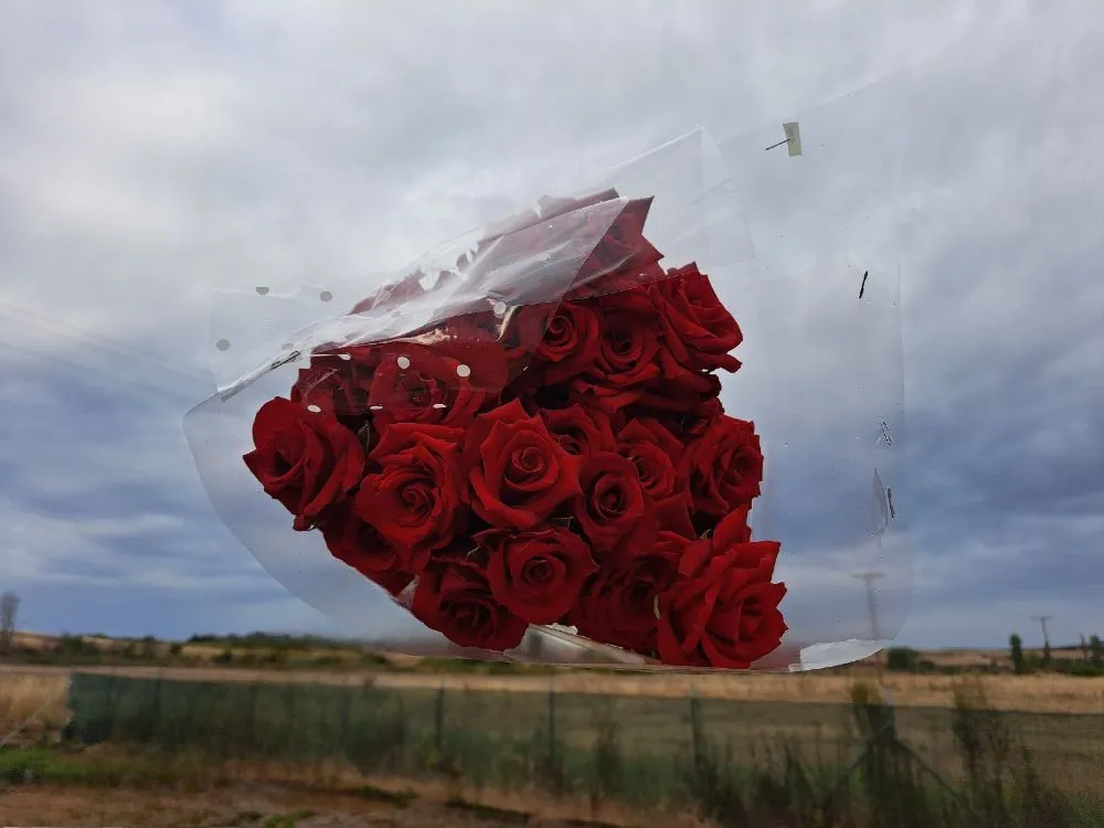 Πυροσβέστης και η μικροβιολόγος σύζυγός του καλλιεργούν υδροπονικά τριαντάφυλλα στον Ασκό Λαγκαδά