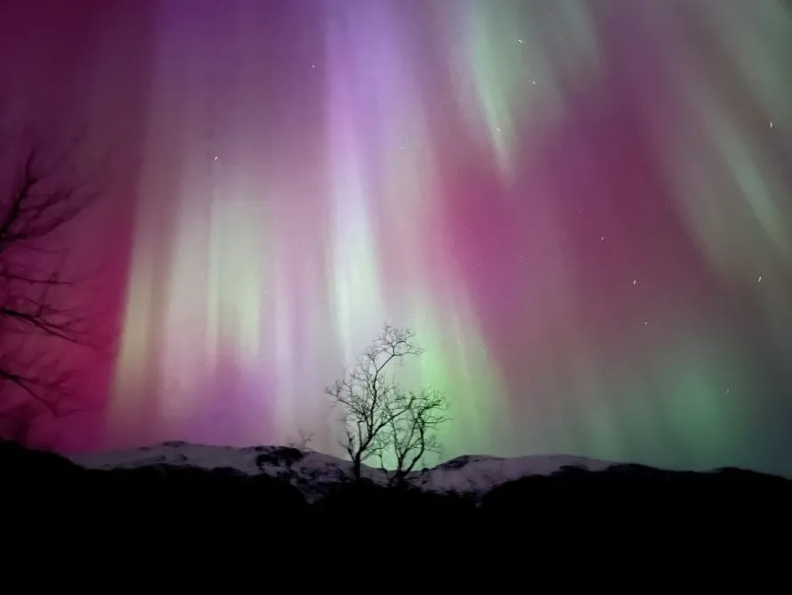 Οι ηλιακές καταιγίδες προκαλούν σέλας στη Γη. Η έκρηξη αυτού του άστρου θα μπορούσε να καταστρέψει την ατμόσφαιρά της