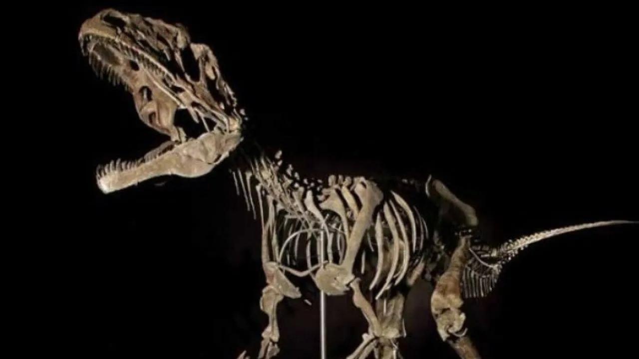 Οι αρχές της Βρετανίας κατάσχεσαν από επιχειρηματία σπάνια οστά δεινοσαύρων