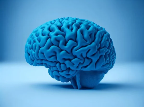 Πώς ο εγκέφαλος επιλέγει τι θυμόμαστε