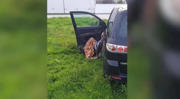 Σέρρες: Νέο περιστατικό φέρνει στο προσκήνιο τις ανάγκες του ΕΚΑΒ - video