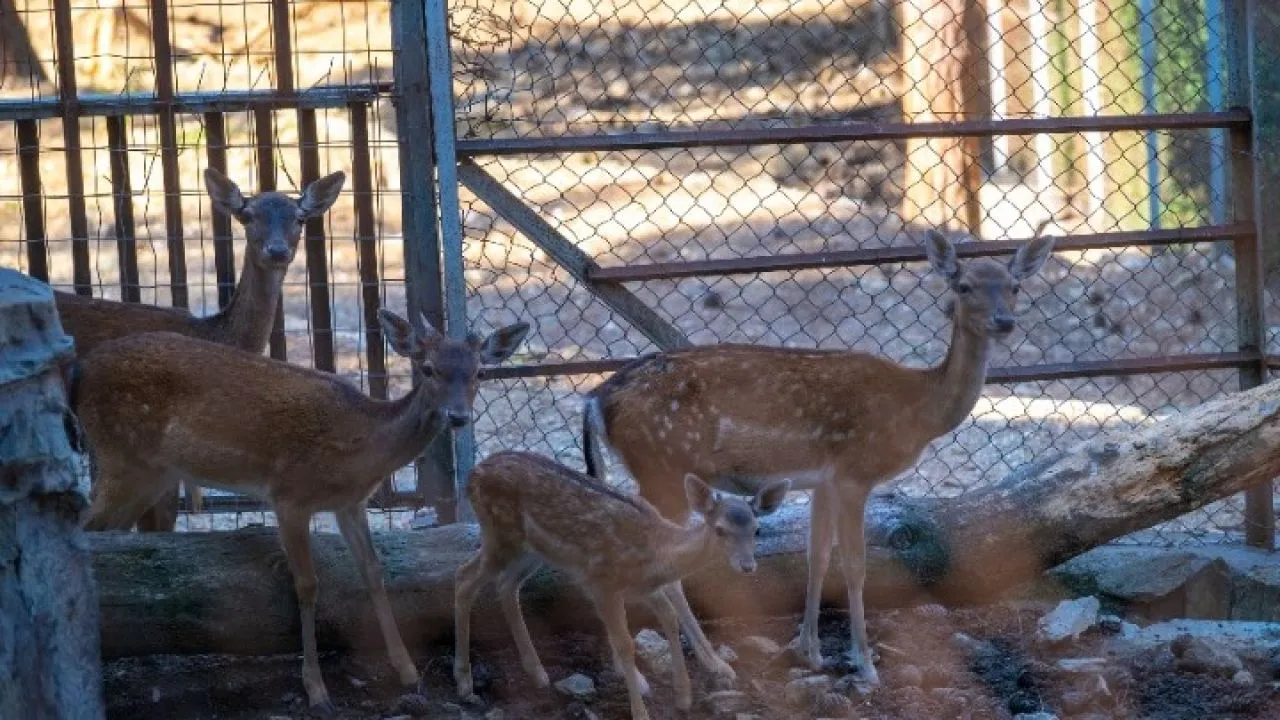 Αναστέλλεται προσωρινά η λειτουργία του Ζωολογικού Κήπου του Δήμου Θεσσαλονίκης