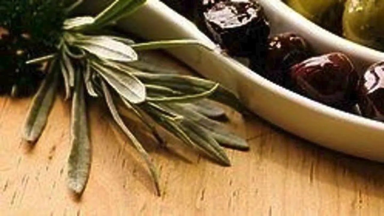 Η ελιά ως εθνικό μας κεφάλαιο – Από το σύμβολο ειρήνης στη στρατηγική για την ύπαιθρο της νέας εποχής