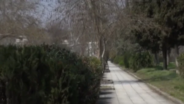 Σέρρες: Μετονομάζεται σε "Ανδρέα Ανδρέου" η οδός Εξοχών - video