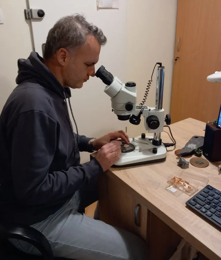 Παραδοξοφίδιο, νέο είδος προϊστορικού φιδιού ανακάλυψε Έλληνας παλαιοντολόγος