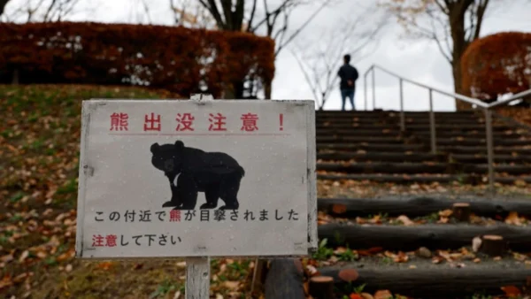Ιαπωνία: Μια πόλη αφαίρεσε εικόνες αρκούδων που δημιουργήθηκαν από τεχνητή νοημοσύνη