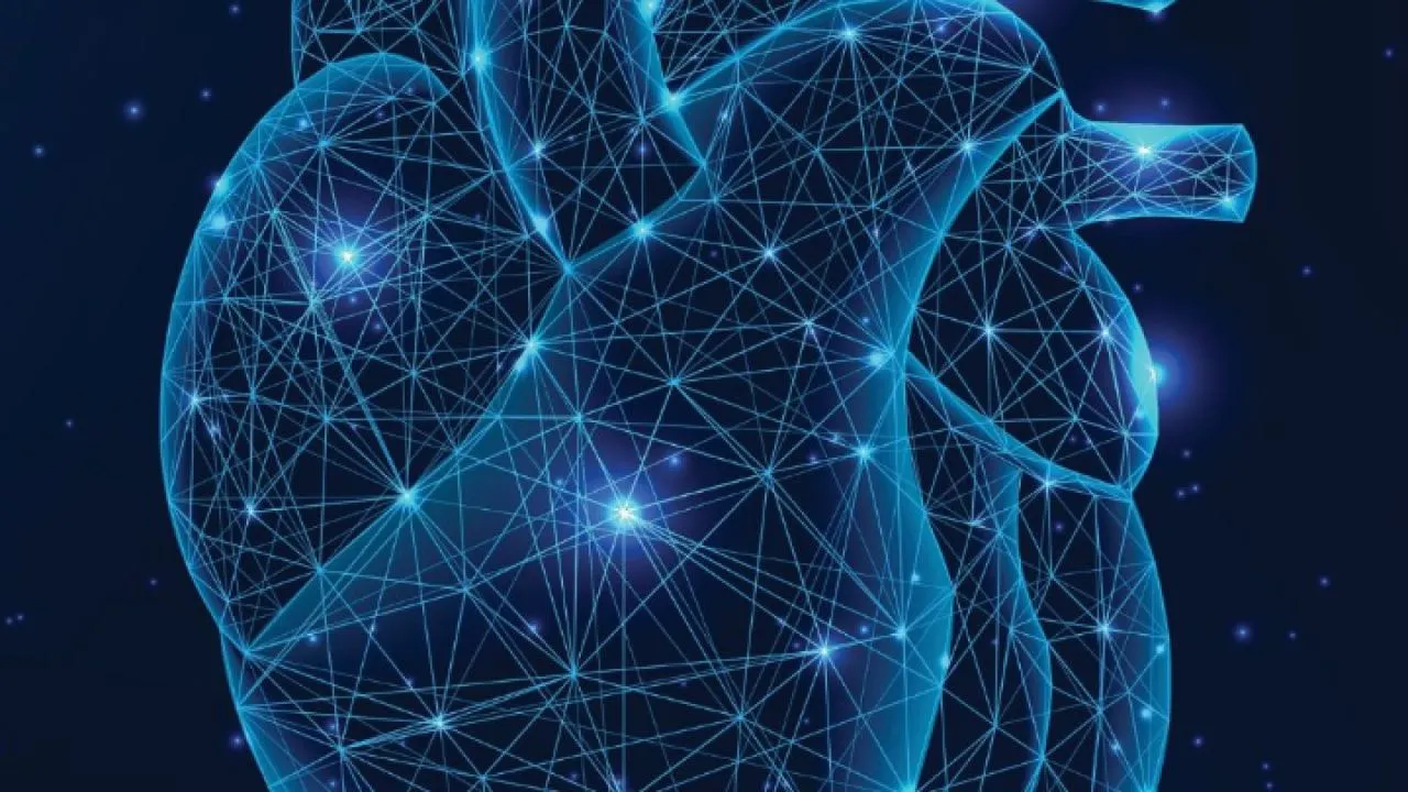 Καρδιακές βαλβίδες και σύγχρονες διακαθετηριακές τεχνικές-Τεχνικές που αλλάζουν τη ζωή, χωρίς χειρουργείο