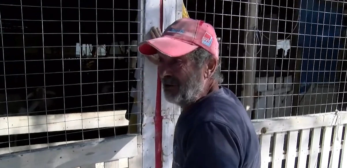 Σέρρες: "Ο θάνατος περνάει έξω από το μαντρί του" - Σε απόγνωση χωρίς βοήθεια ο κτηνοτρόφος παλεύει μόνος του - video