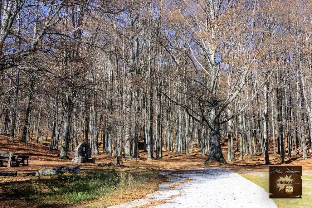 Χιονοδρομικό Κέντρο και Καταφύγιο Λαϊλιά: Ο Χειμερινός Παράδεισος των Σερρών - Δείτε video