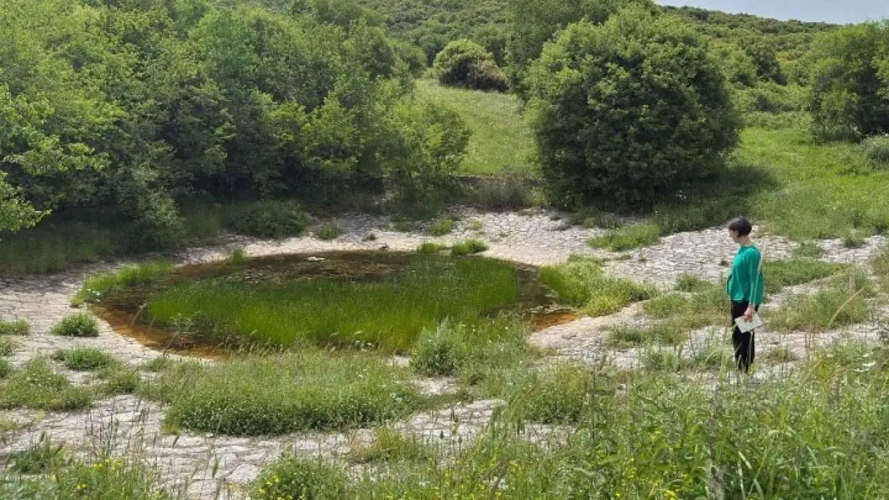 Πολύτιμες οι λούτσες που κρατούν νερό για τη μετακινούμενη κτηνοτροφία - Πρόγραμμα για την ανάδειξή τους