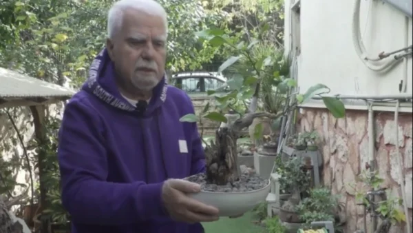 Ο κήπος με τα 130 μπονζάι στη Νέα Σμύρνη - 25 χρόνια μιας τέχνης που μεγαλώνει μαζί με τον χρόνο