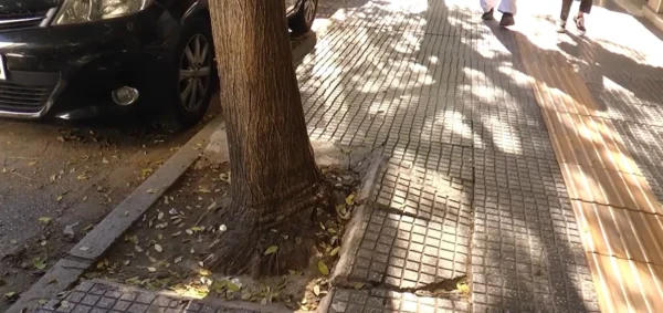 Σέρρες: Σε κακή κατάσταση τα πλακάκια στο πεζοδρόμιο της Γ.Παπανδρέου - video