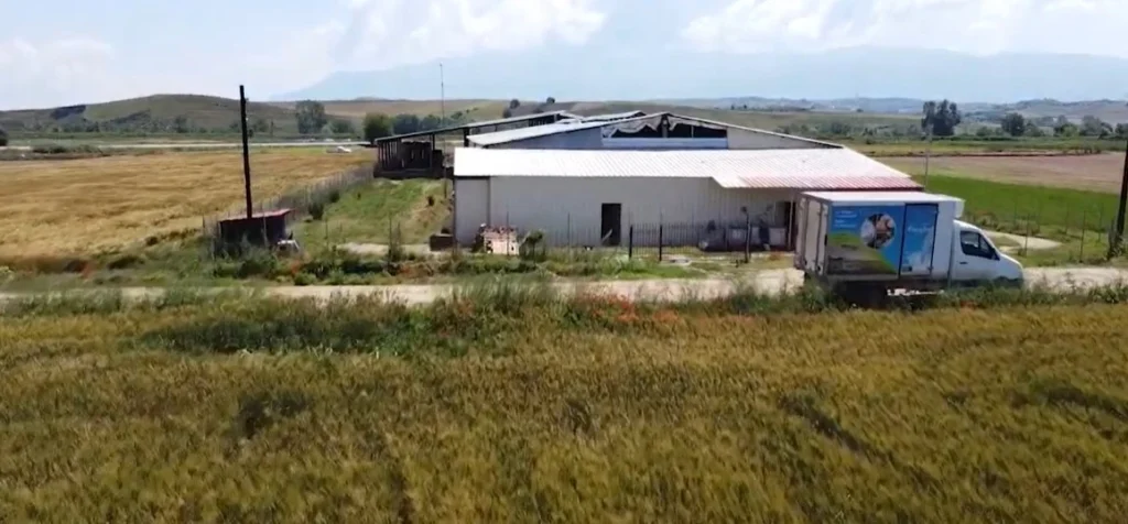 Μ.Ψαρέλης: Αχτίδα φωτός μετά την απώλεια 550 ζώων, άμεση αποζημίωση και νέα πλάνα για κοπάδι - Η πρόταση του στον υπουργό