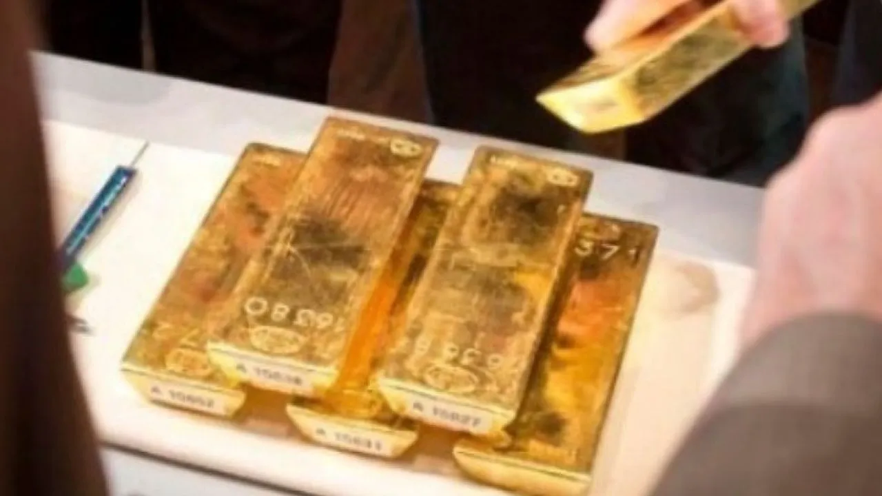 Ένας Γάλλος βρήκε στον κήπο του ράβδους χρυσού και νομίσματα αξίας 700.000 ευρώ