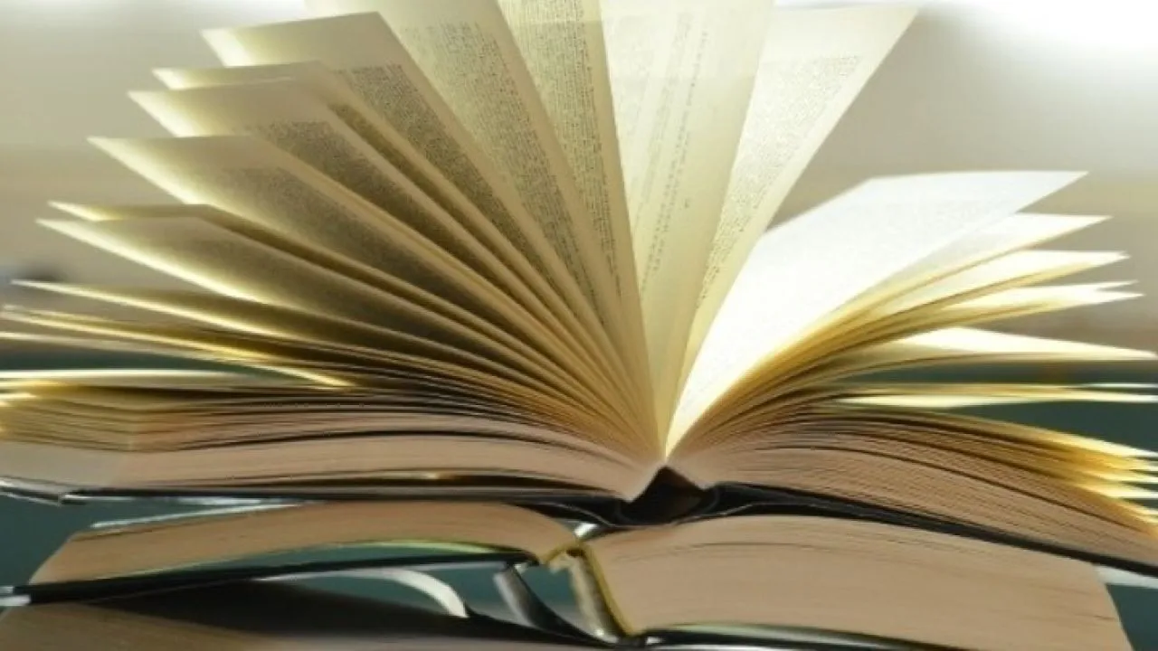 «How to End a Story»: Το ημερολόγιο της Έλεν Γκάρνερ κέρδισε το κορυφαίο βραβείο Baillie Gifford 2025