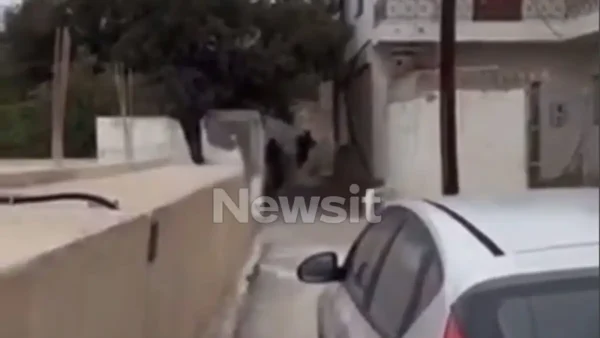 Βορίζια: Ο δεύτερος ελεύθερος σκοπευτής, το βίντεο και οι απολογίες των δύο συλληφθέντων στο νοσοκομείο