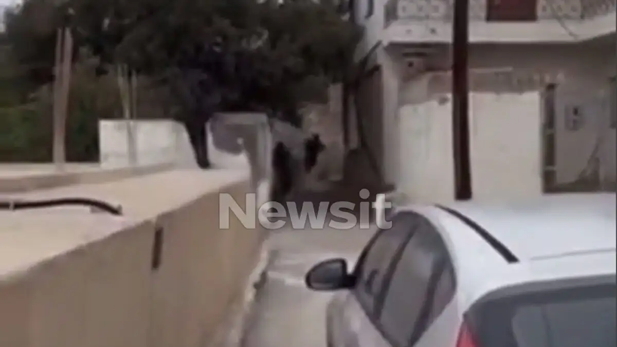 Βορίζια: Ο δεύτερος ελεύθερος σκοπευτής, το βίντεο και οι απολογίες των δύο συλληφθέντων στο νοσοκομείο