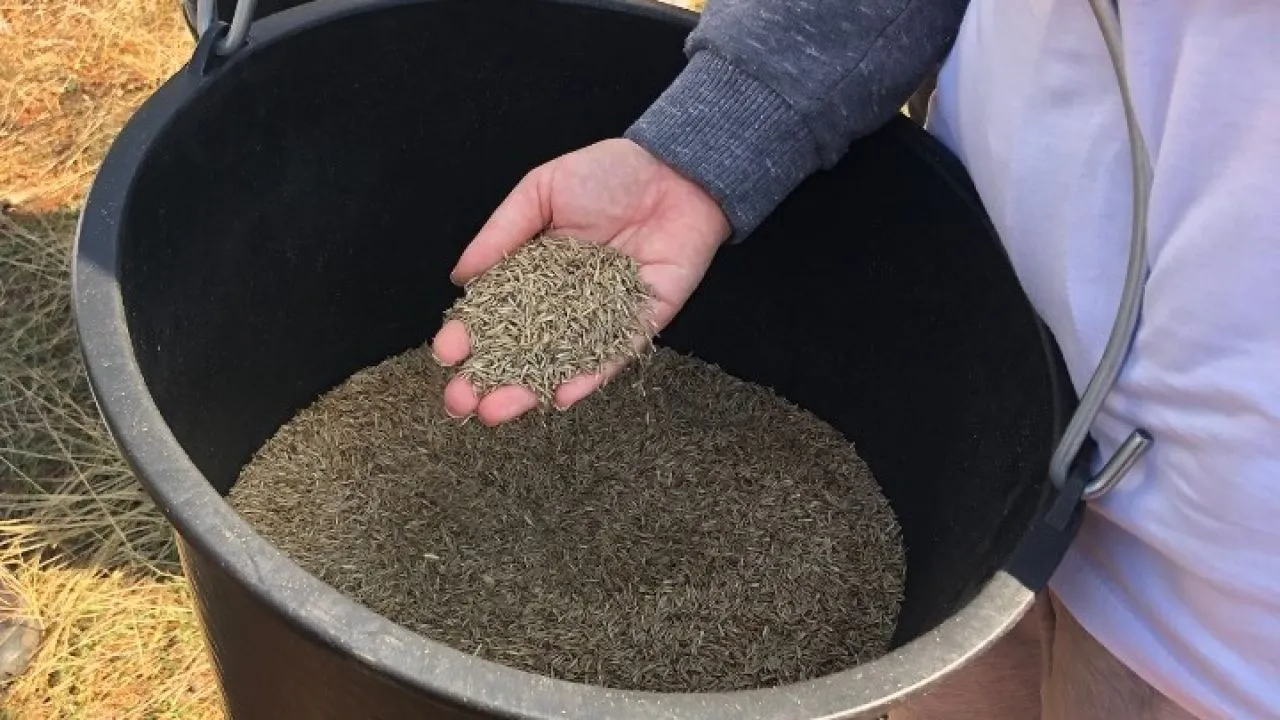 WWF: Οι οικολογικοί διάδρομοι ως μέσο προστασίας της άγριας ζωής