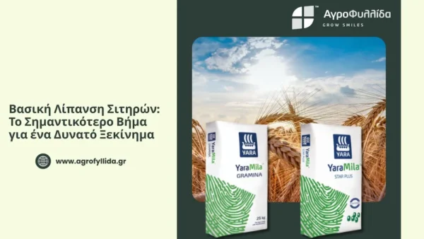 Αγροφυλλίδα: Βασική Λίπανση Σιτηρών - Το Σημαντικότερο Βήμα για ένα Δυνατό Ξεκίνημα