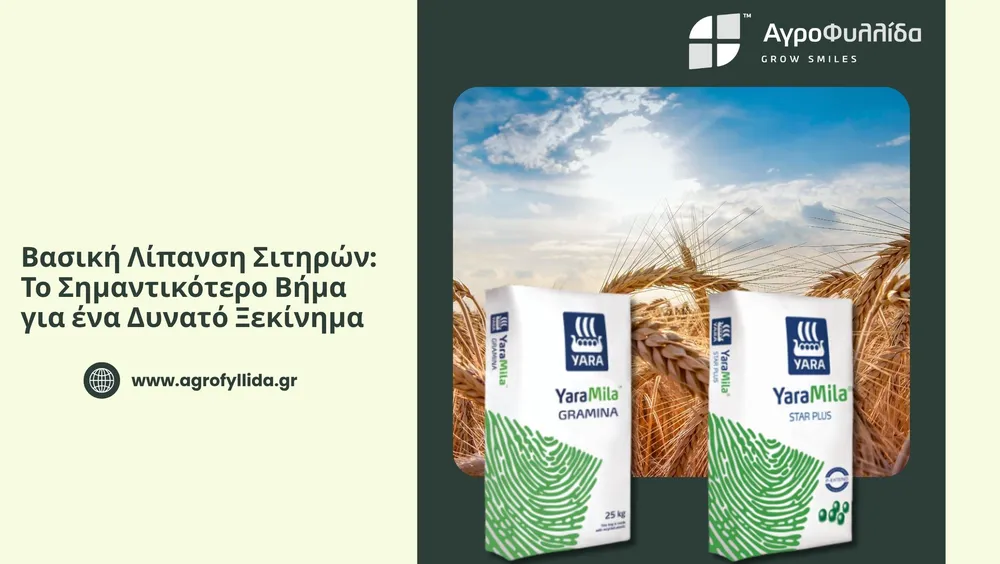 Αγροφυλλίδα: Βασική Λίπανση Σιτηρών - Το Σημαντικότερο Βήμα για ένα Δυνατό Ξεκίνημα