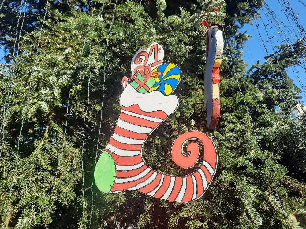 Πολιτεία των Ευχών: Μαθήτριες και μαθητές στολίζουν το Δέντρο των Παραμυθιών