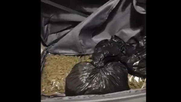 Αστυνομικοί των Σερρών και η Roxy εντόπισαν πάνω από 5 κιλά κάνναβη στη Θεσσαλονίκη