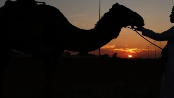 Εξερευνήτρια γίνεται ο πρώτος άνθρωπος που διέσχισε περπατώντας τη Σαουδική Αραβία